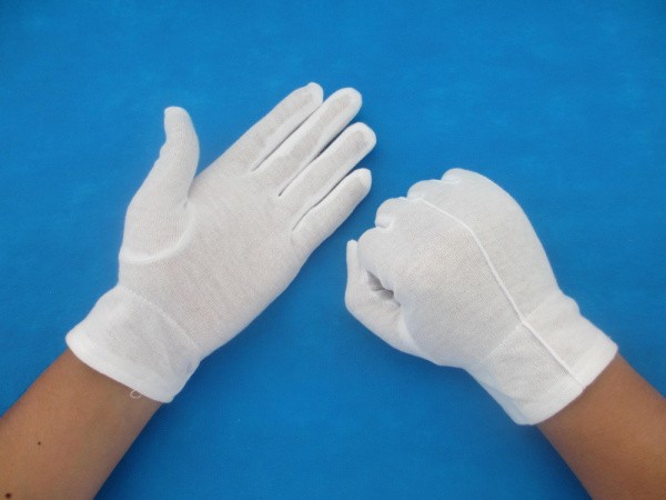 优质一根筋礼仪超污91视频下载